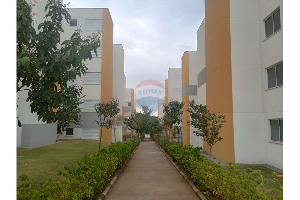 Apartamento - Alugar - Paulínia , São Paulo - IMG_20240528_104902612_HDR.jpg - 690511152-123