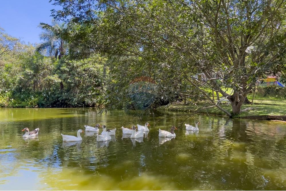 Casa de Condomínio - Alugar - Vinhedo , São Paulo - TakeDroneBr-7847.jpg - 690541185-39