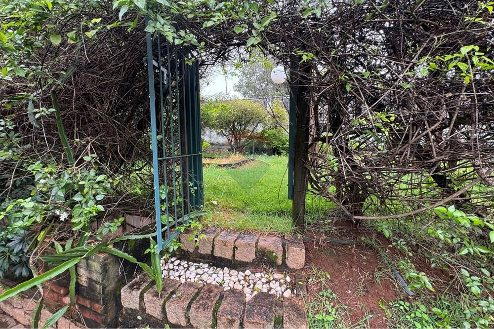 Casa Comercial - Alugar - Campinas , São Paulo - IMG_7031.JPEG - 691181013-20