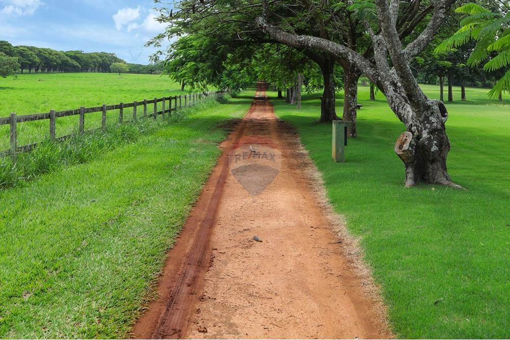 Terreno - Venda - Jaguariúna , São Paulo - Natureza2.jpg - 690671066-48