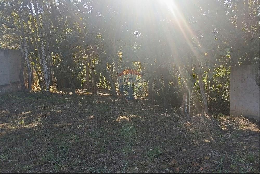 Terreno - Venda - Jaguariúna , São Paulo - 13.JPG - Quintal - 690671070-9