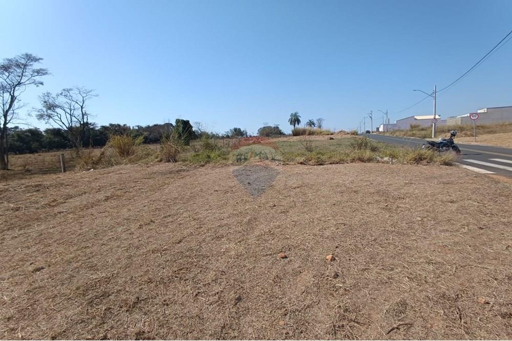 Terreno - Venda - Mogi Guaçu , São Paulo - WhatsApp Image 2025-07-22 at 11.32.27 (1).jpeg - Quintal - 690521005-197