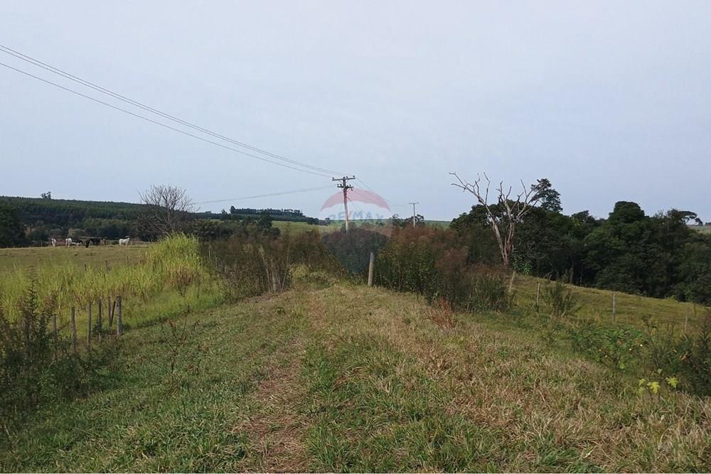 Chácara / Sítio / Fazenda - Venda - Santa Maria da Serra , São Paulo - 0b46abbc-f8b6-4369-b161-fda51e271f28.jpg - 690571076-32