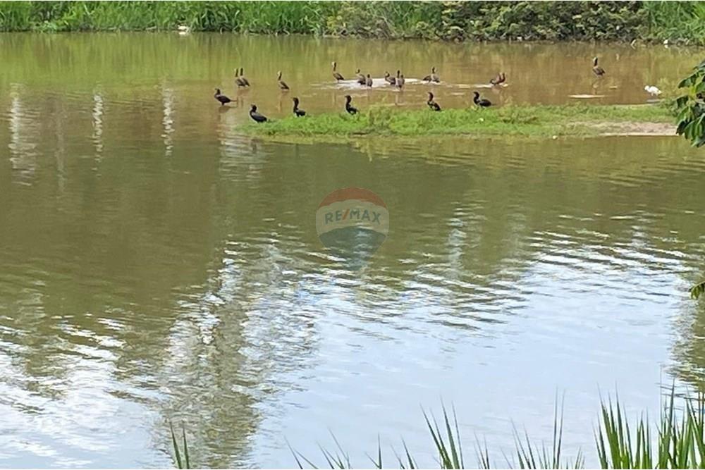 Casa de Condomínio - Venda - Vinhedo , São Paulo - 1a5efc31-a323-4ad1-81dd-0ece7d6b00ab.jpeg - 690541076-48