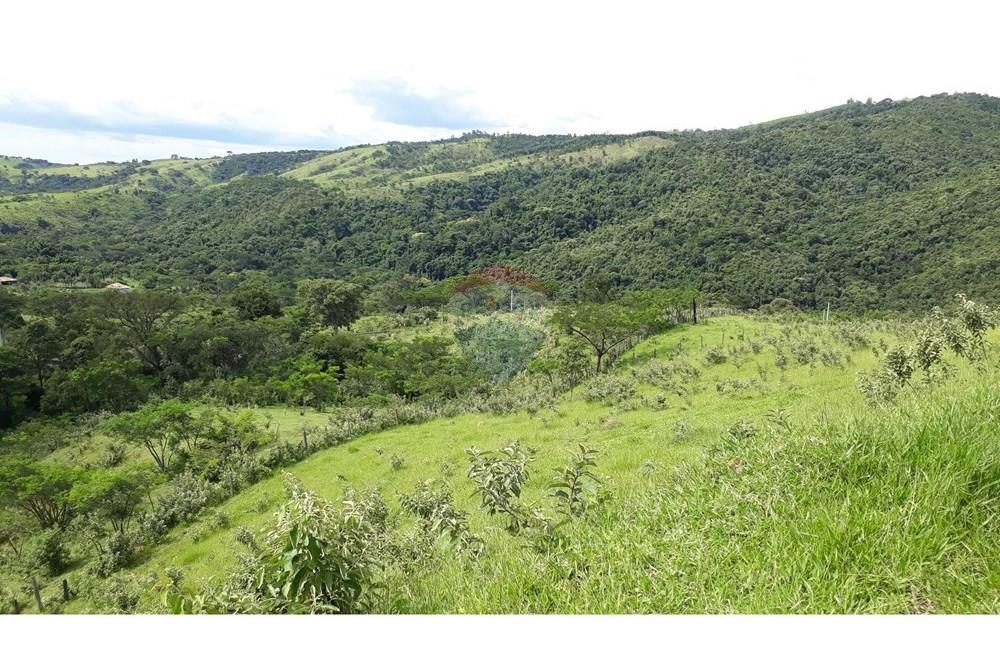 Fazenda - Venda - Serra Negra , São Paulo - 20250211_151734.jpg - 690291056-26