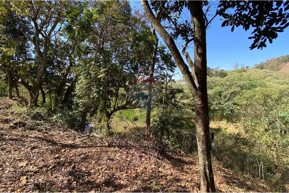 Chácara / Sítio / Fazenda - Venda - Jacutinga , Minas Gerais - WhatsApp Image 2025-08-06 at 14.30.45.jpeg - 690291077-290