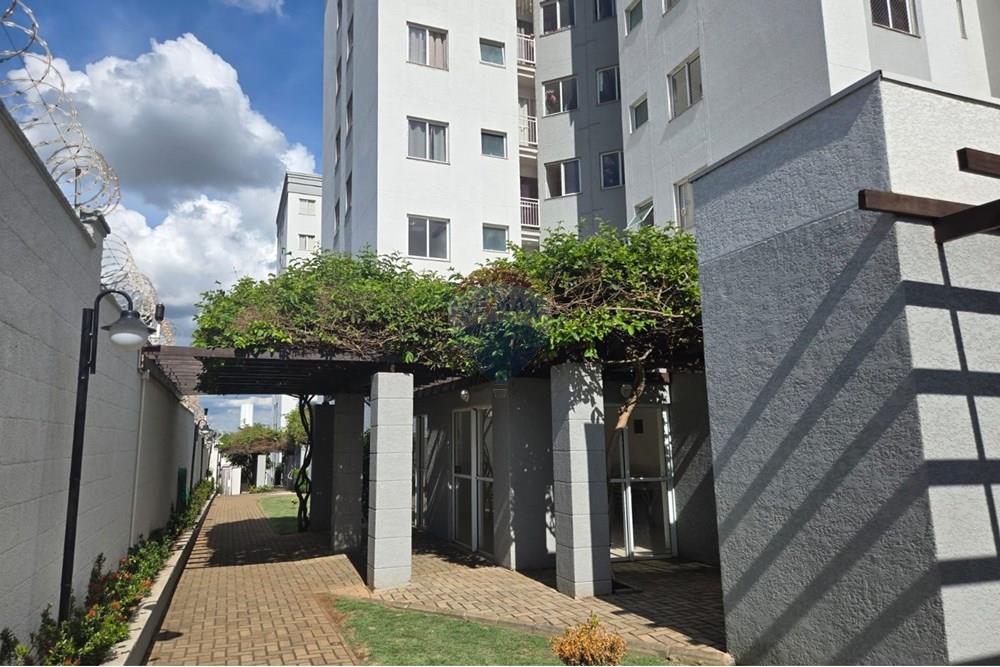 Apartamento - Alugar - Paulínia , São Paulo - WhatsApp Image 2025-12-19 at 16.59.02.jpeg - 691101018-88