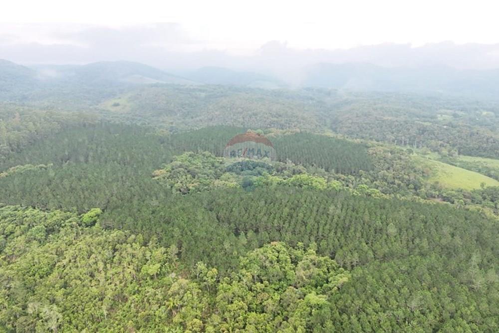 Fazenda - Venda - Jacupiranga , São Paulo - WhatsApp Image 2026-03-02 at 20.10.28 (2).jpeg - 690061037-12