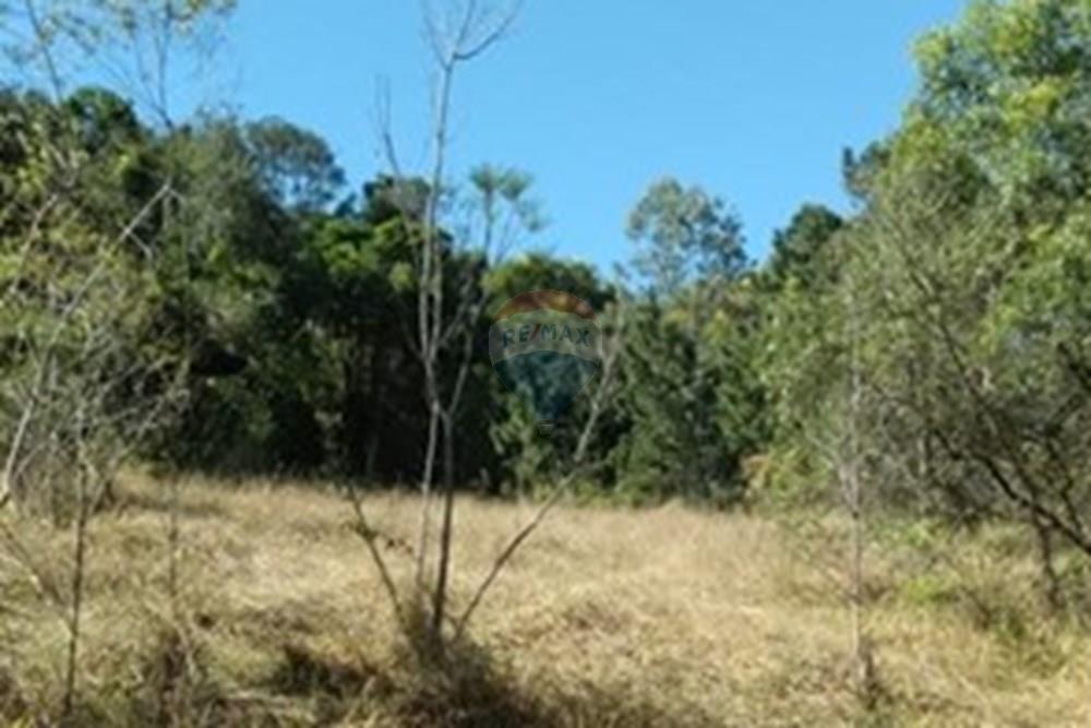 Chácara / Sítio / Fazenda - Venda - Serra Negra , São Paulo - WhatsApp Image 2025-01-14 at 18.09.44 (1).jpeg - 690681090-34