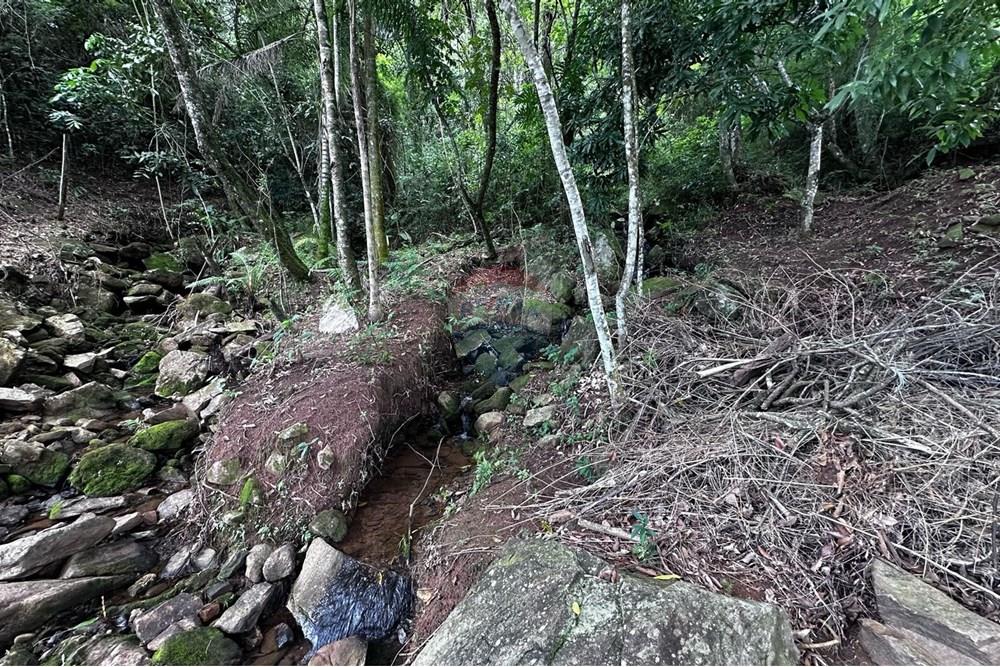 Chácara / Sítio / Fazenda - Venda - Socorro , São Paulo - 89e2d468-8d48-4686-82db-abf89bc9659f.jpeg - 690041146-19