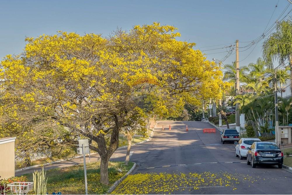Casa de Condomínio - Venda - Louveira , São Paulo - Cópia de TKD-7556.jpg - 690941044-8