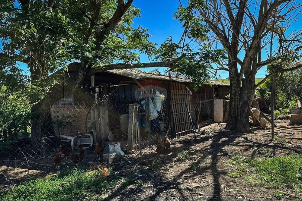 Agro - Venda - Rio Claro , São Paulo - OKO.jpeg - 690901035-38