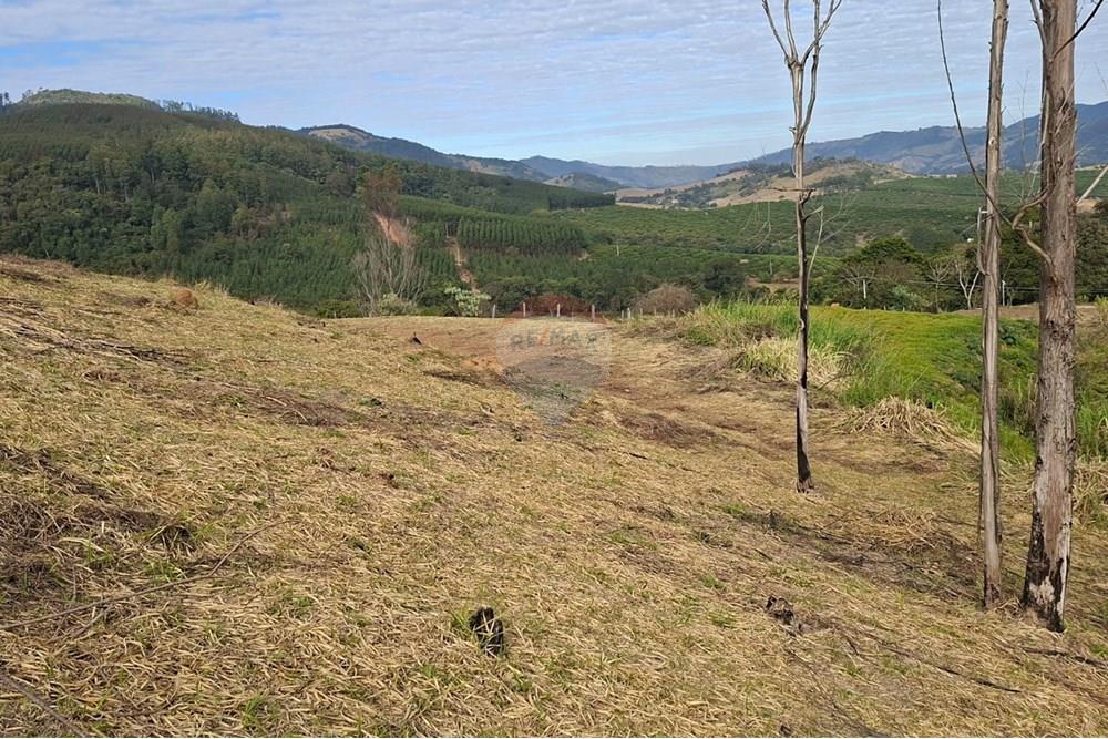 Terreno - Venda - Socorro , São Paulo - 0fff3ef3-5433-4c10-b177-f839b513b02f.jpeg - 690041146-29