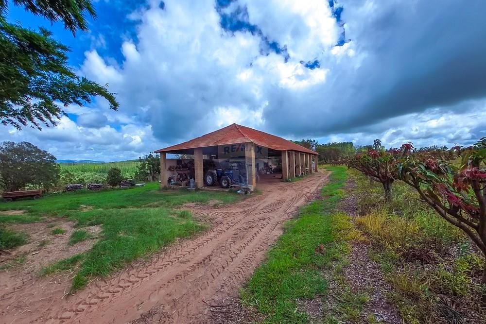 Fazenda - Venda - Analândia , São Paulo - Tratada-25.jpg - 690691016-305