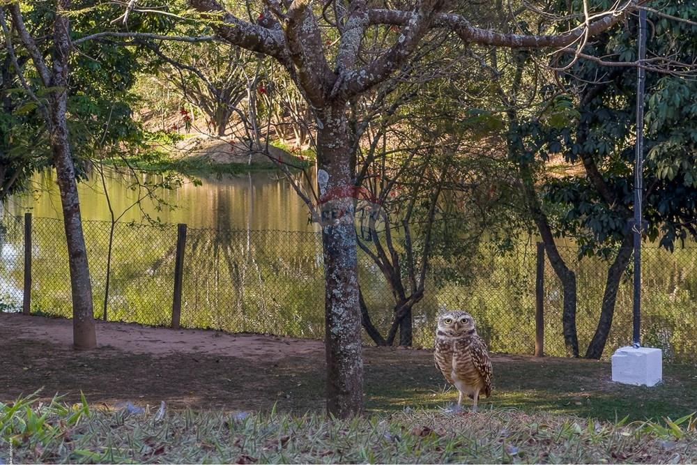 Casa de Condomínio - Venda - Louveira , São Paulo - TKD-7568.jpg - 690941025-197