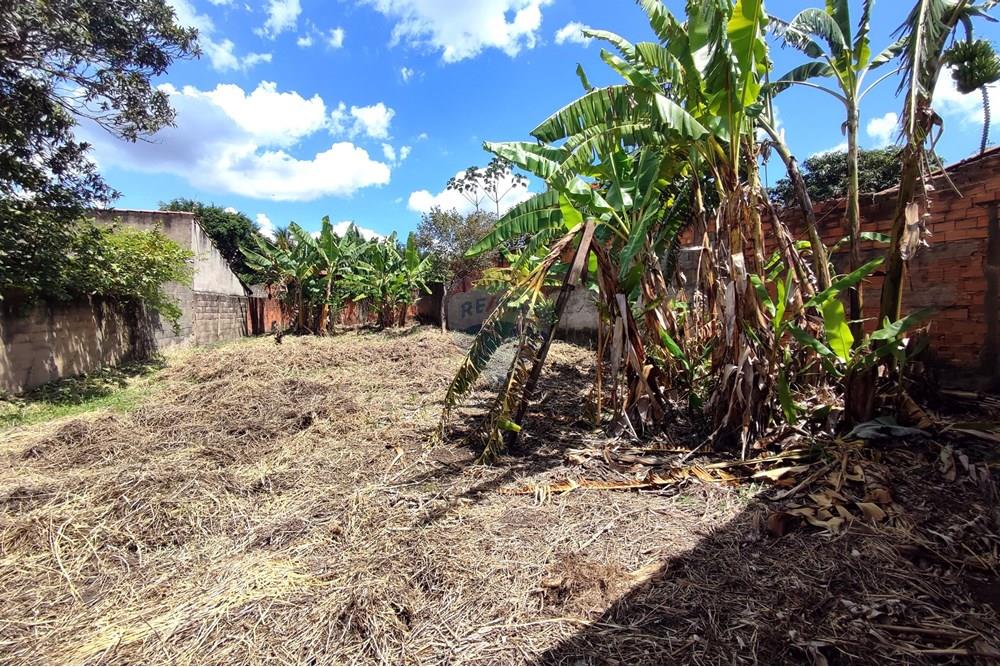 Casa - Venda - Mogi Mirim , São Paulo - 38.jpg - Quintal - 690521014-85