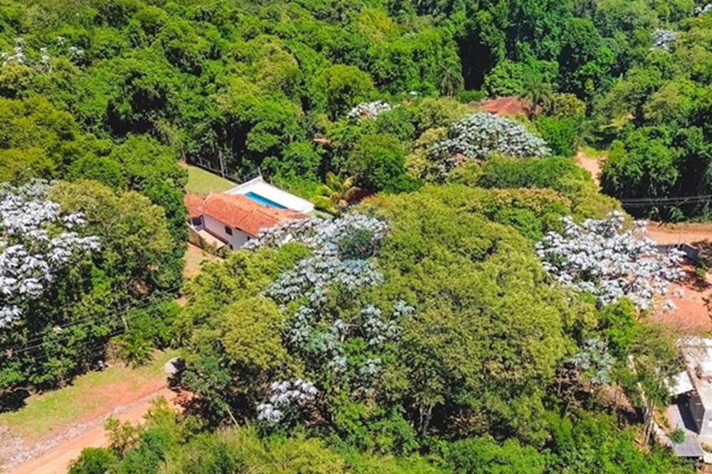 Terreno - Venda - Piracaia , São Paulo - dji_fly_20251127_100624_915_1764648858076_photo_optimized.jpg - 691011009-44