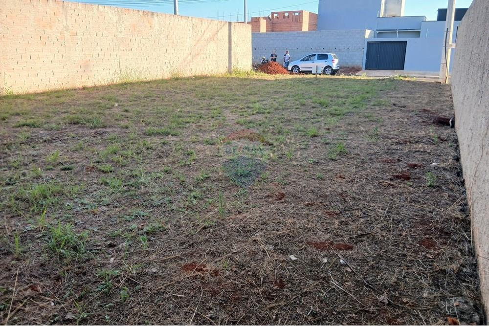 Terreno - Venda - Mogi Guaçu , São Paulo - 20250830_170814.jpg - 690521132-26