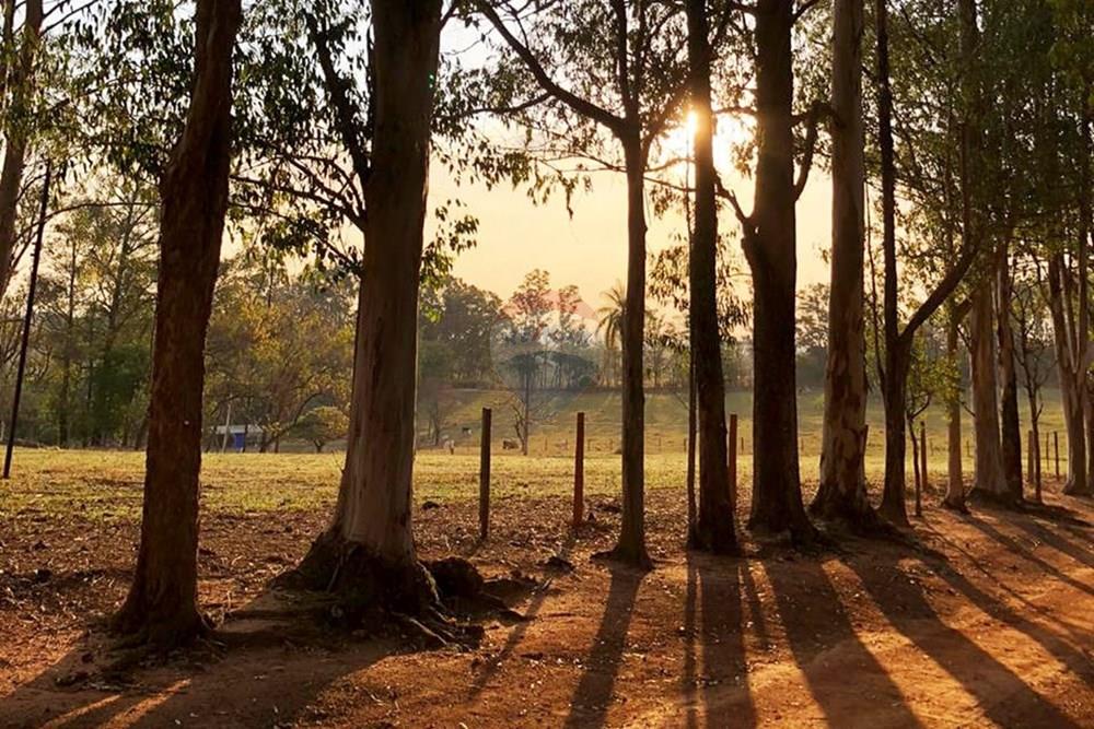 Terreno - Venda - Jaguariúna , São Paulo - F-002.jpg - 691191001-3
