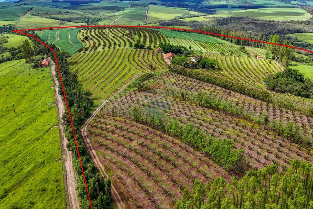 Fazenda - Venda - Analândia , São Paulo - Tratada - Drone-76.jpg - 690691016-305