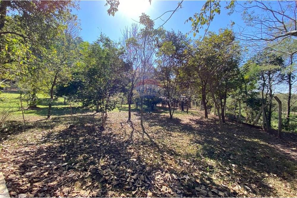 Chácara / Sítio / Fazenda - Venda - Jacutinga , Minas Gerais - WhatsApp Image 2025-08-06 at 14.30.51 (1).jpeg - 690291077-290