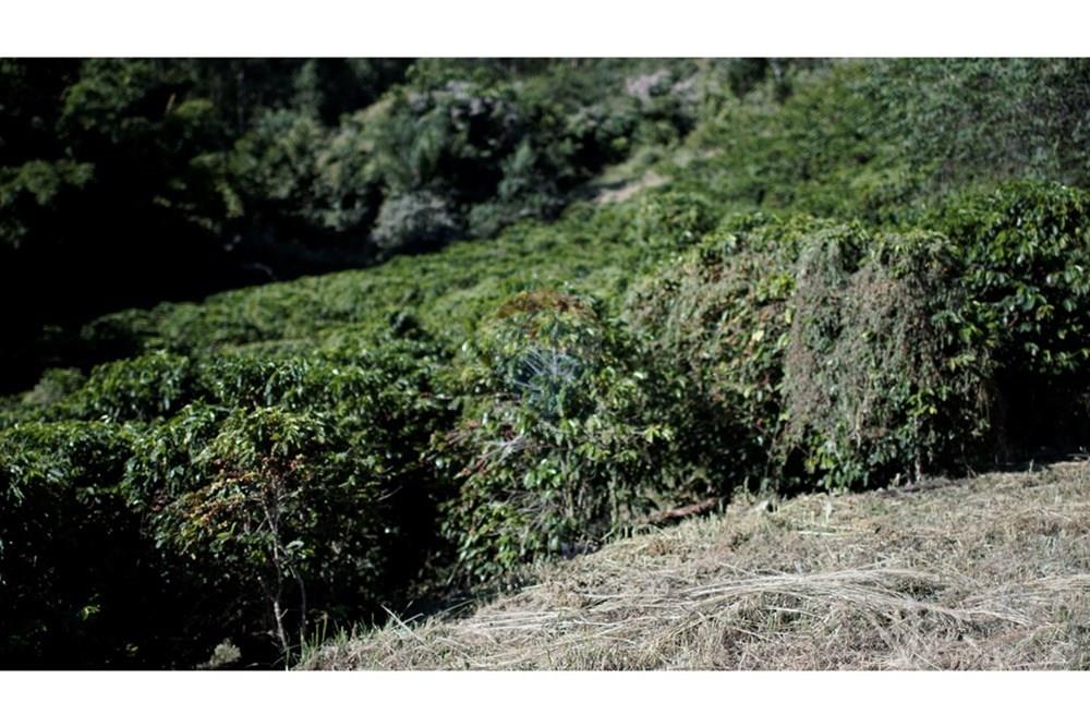 Chácara / Sítio / Fazenda - Venda - Serra Negra , São Paulo - _JEA8930.JPG - 690291056-34