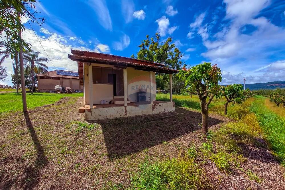 Fazenda - Venda - Analândia , São Paulo - Tratada-7.jpg - 690691016-305