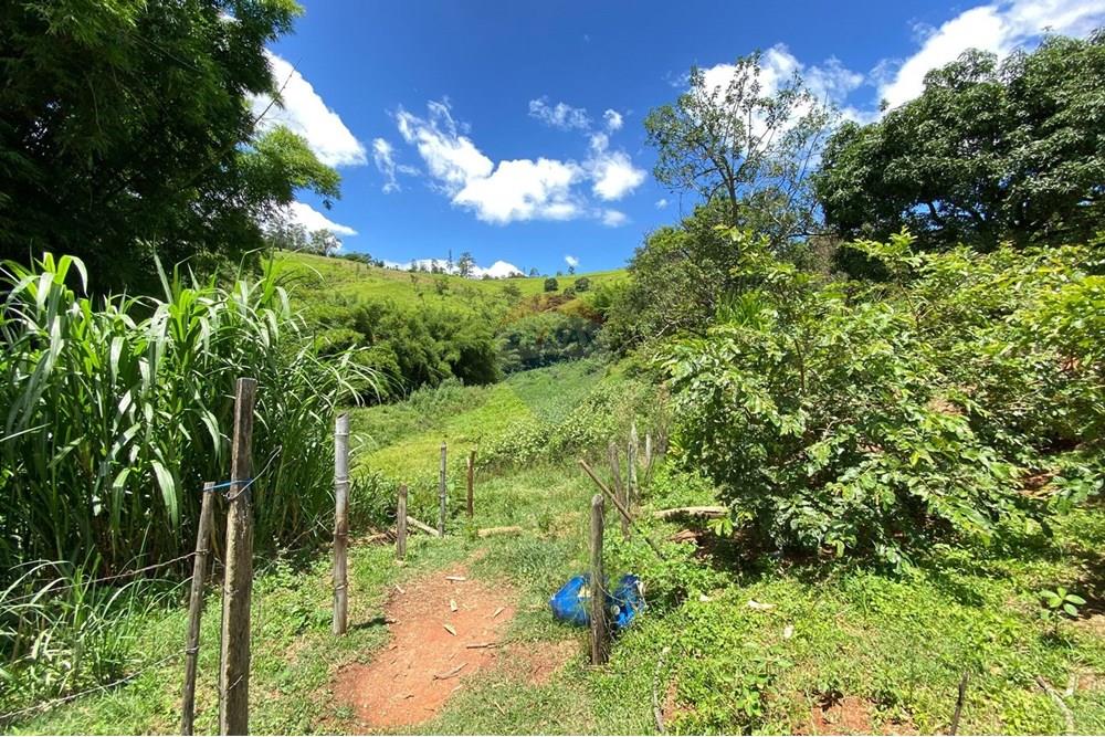 Chácara / Sítio / Fazenda - Venda - Lindóia , São Paulo - Imagem do WhatsApp de 2025-02-25 à(s) 19.33.54_d84d5c80.jpg - 690291077-296
