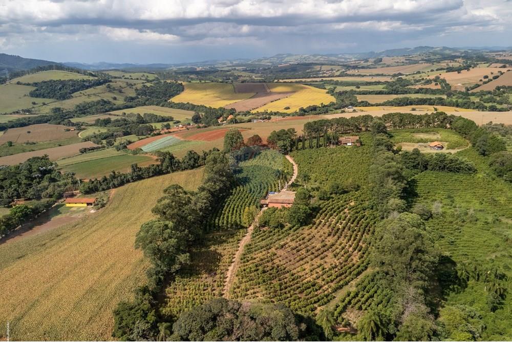 Chácara / Sítio / Fazenda - Venda - Morungaba , São Paulo - TKD-1774.jpg - 690661002-89