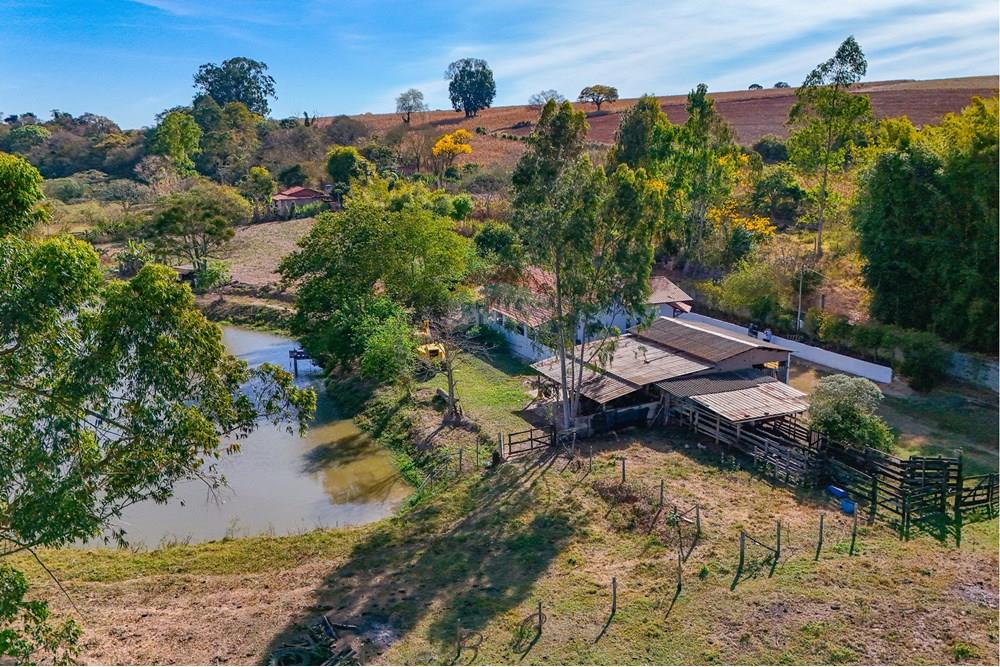 Chácara / Sítio / Fazenda - Venda - Santa Cruz da Conceição , São Paulo - Tratada-31.jpg - 690481001-177