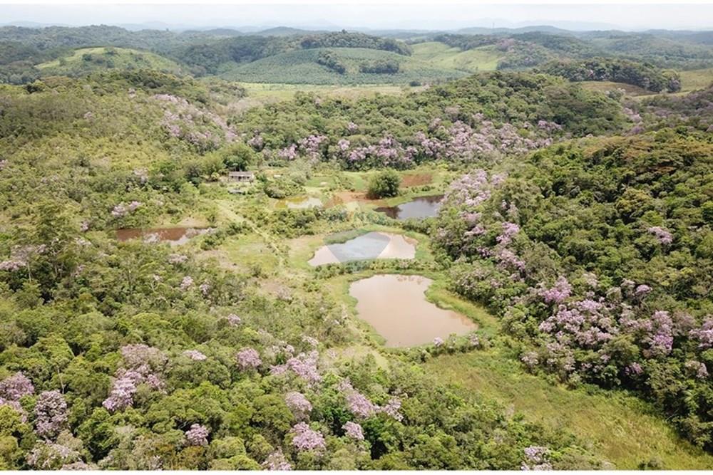 Fazenda - Venda - Registro , São Paulo - DJI_0010.JPG - 690061038-16