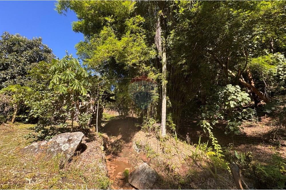 Chácara / Sítio / Fazenda - Venda - Joanópolis , São Paulo - photo_5019343269280201172_y.jpg - 690041001-120