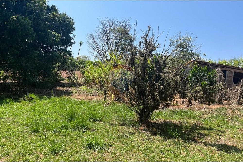 Chácara / Sítio / Fazenda - Venda - Valinhos , São Paulo - WhatsApp Image 2025-10-27 at 09.33.48 (5).jpeg - 691181010-8