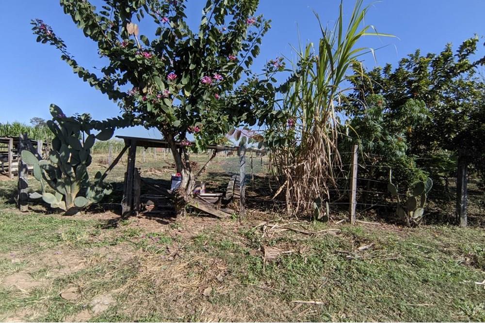 Terreno - Venda - Mogi Guaçu , São Paulo - 22.jpeg - 690521018-187