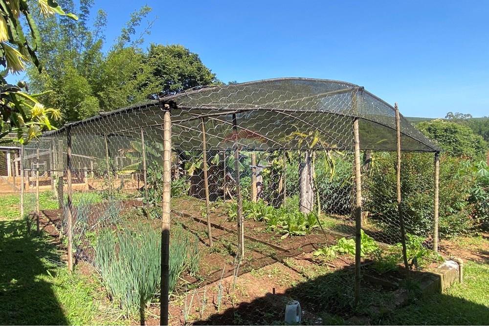 Chácara / Sítio / Fazenda - Venda - Jarinu , São Paulo - Z23.JPEG - 691121003-48