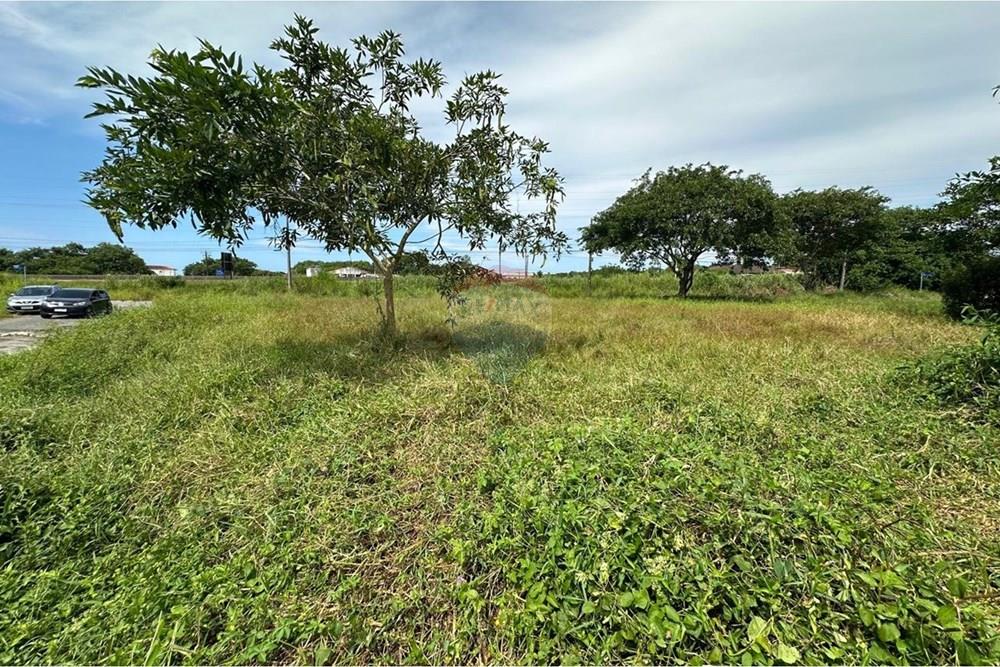 Terreno - Venda - Peruíbe , São Paulo - WhatsApp Image 2026-04-01 at 14.18.32 (12).jpeg - 691111041-6