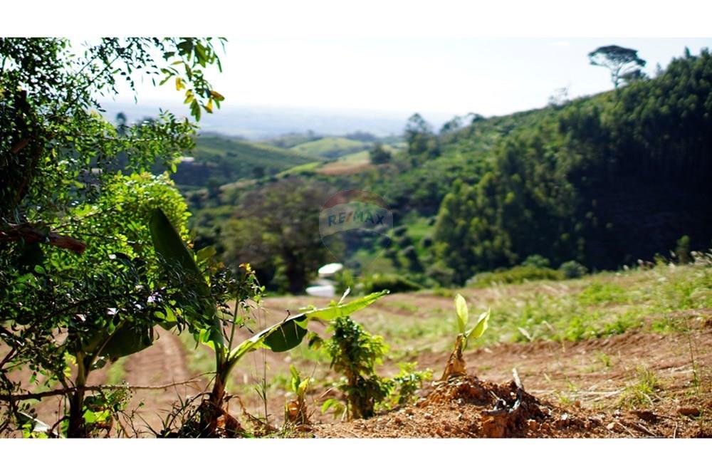 Chácara / Sítio / Fazenda - Venda - Serra Negra , São Paulo - _JEA8955.JPG - 690291056-34