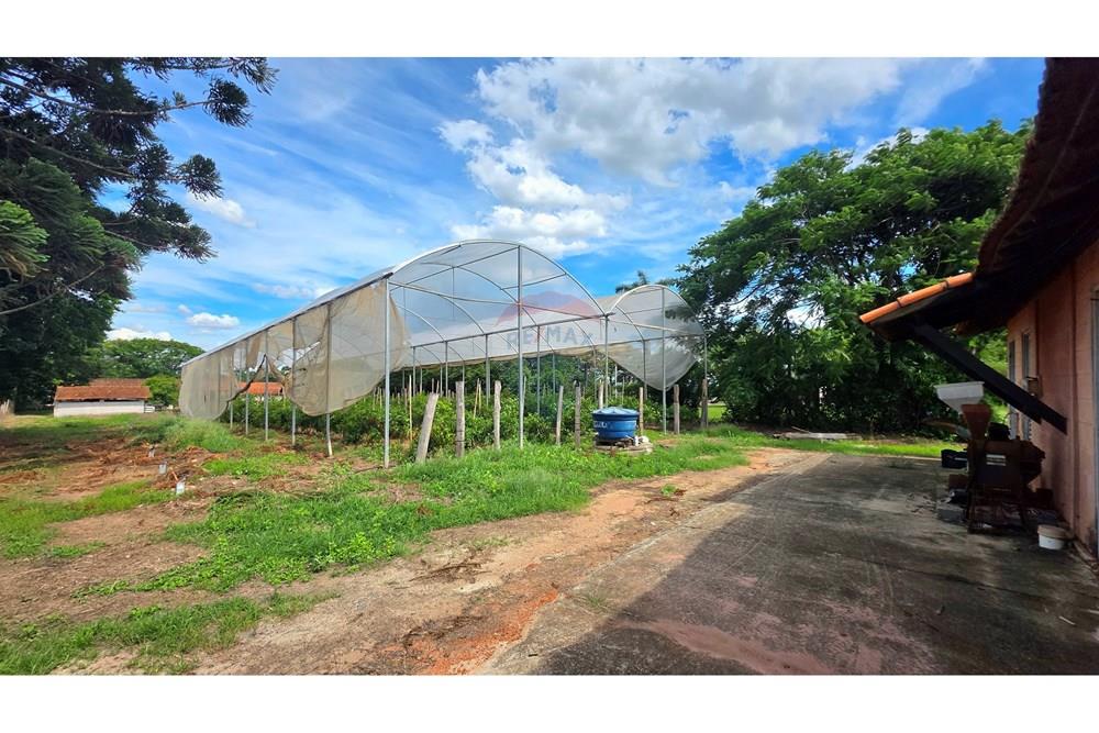 Chácara / Sítio / Fazenda - Venda - Mogi Mirim , São Paulo - 20251211_144626.jpg - 690751019-444