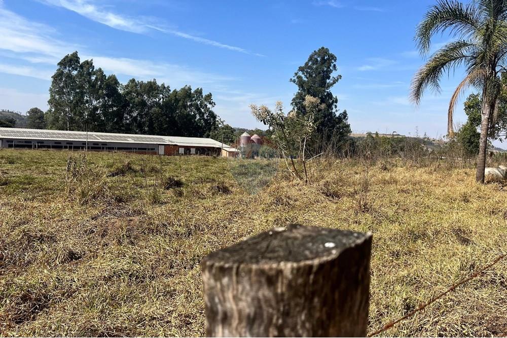 Chácara / Sítio / Fazenda - Venda - Corumbataí , São Paulo - WhatsApp Image 2025-08-27 at 15.25.29 (2).jpeg - 690811006-143