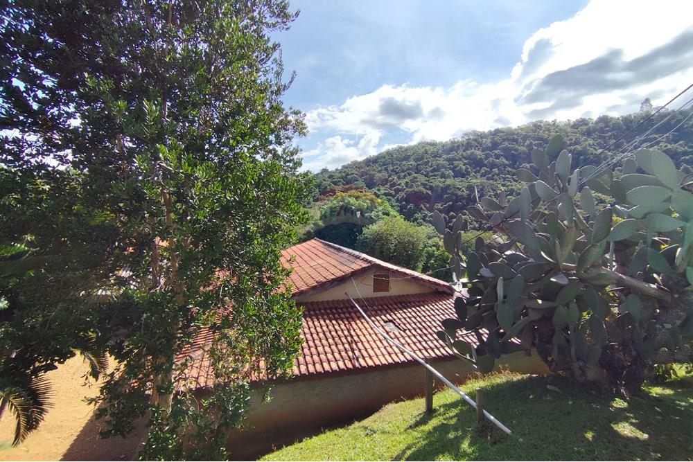 Chácara / Sítio / Fazenda - Venda - Itapira , São Paulo - 1751510168656.jpg - 690291085-364