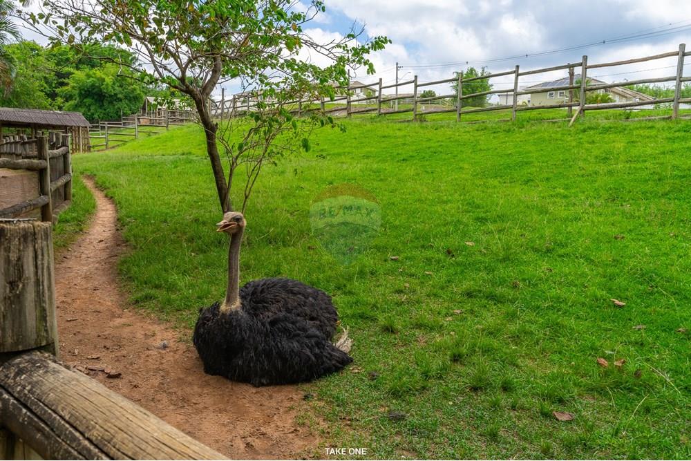 Casa de Condomínio - Venda - Jundiaí , São Paulo - Cópia de TAKEONE-19141.jpg - 690131086-38