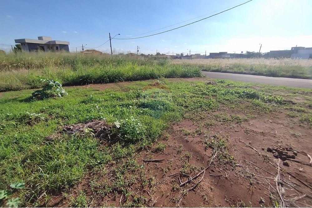 Terreno - Venda - Mogi Guaçu , São Paulo - IMG_20250430_153326.jpg - 690521005-80