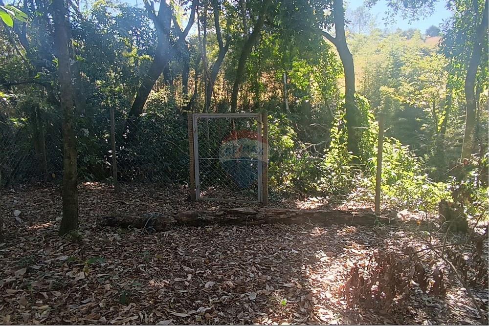 Terreno - Venda - Jaguariúna , São Paulo - 21.JPG - Quintal - 690671070-9