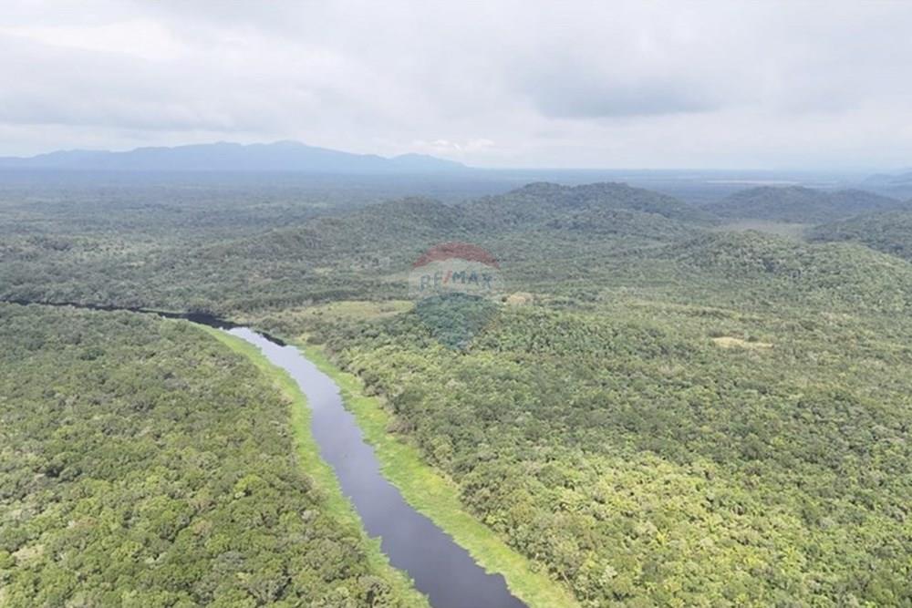 Fazenda - Venda - Iguape , São Paulo - WhatsApp Image 2025-08-11 at 16.22.16 (2).jpeg - 690061038-13