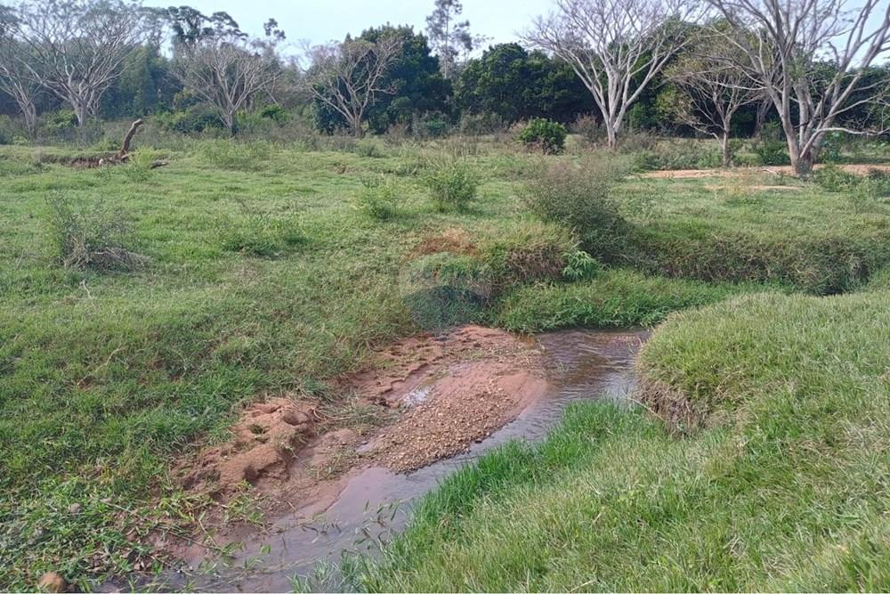 Chácara / Sítio / Fazenda - Venda - Santa Maria da Serra , São Paulo - fc8a6b99-0a77-42c5-a4d6-f6b8840bc306.jpg - 690571076-32