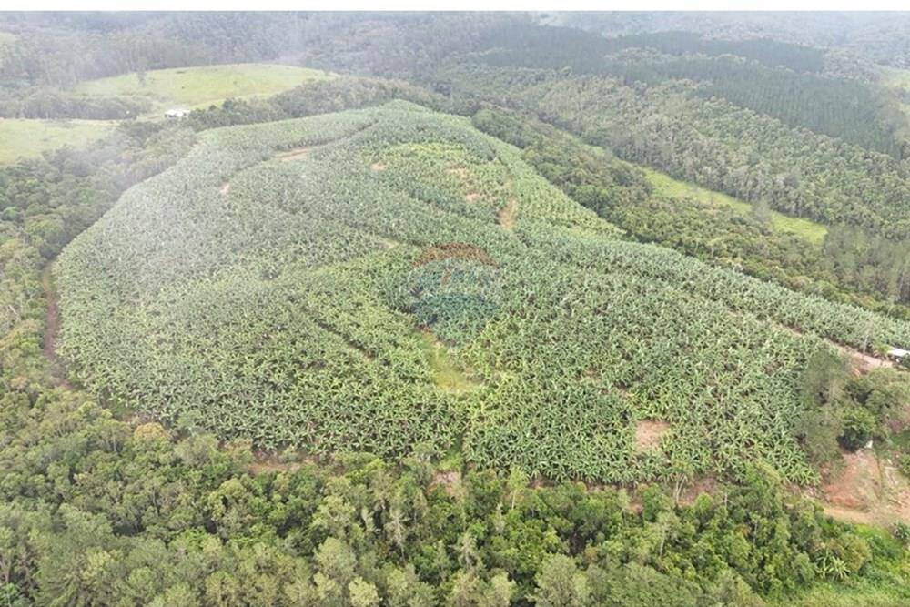 Fazenda - Venda - Jacupiranga , São Paulo - WhatsApp Image 2026-03-02 at 20.10.33 (2).jpeg - 690061037-12