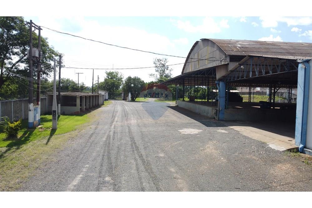 Galpão - Alugar - Mogi Mirim , São Paulo - DJI_0310.JPG - 690751019-440