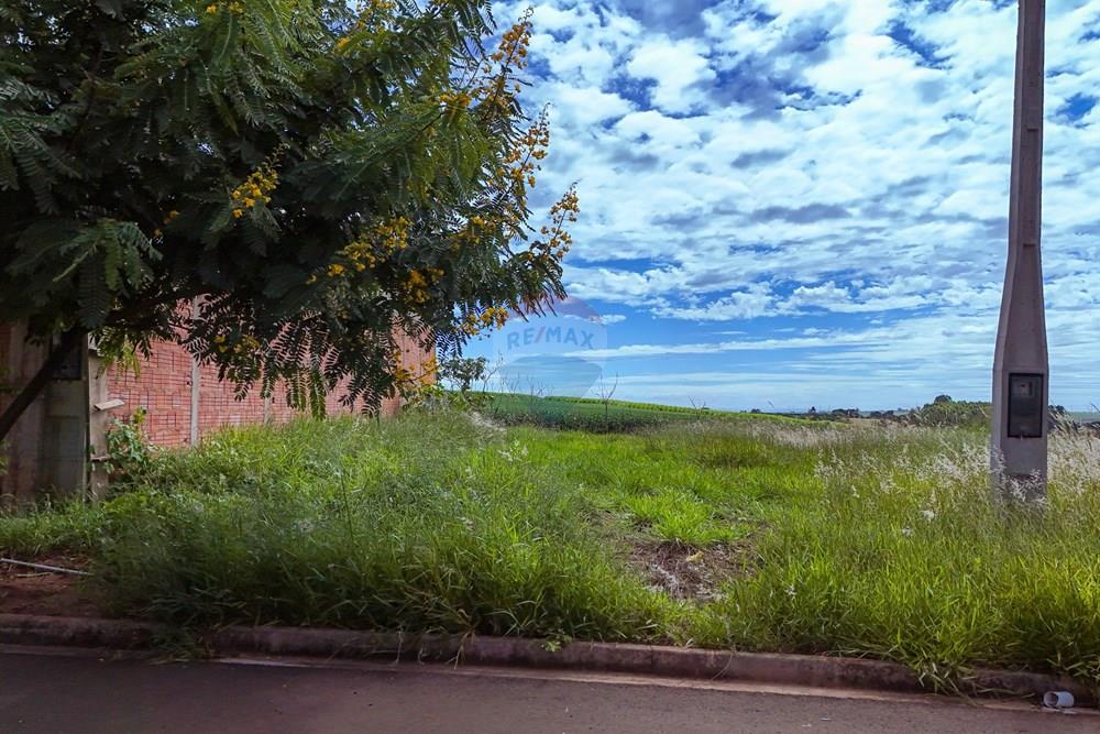 Terreno - Venda - Araras , São Paulo - Tratada - Drone-1.jpg - 690691009-189