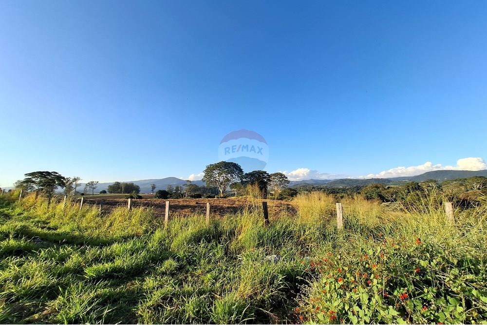 Terreno - Venda - São João da Boa Vista , São Paulo - 20250601_164157.jpg - 690681090-39