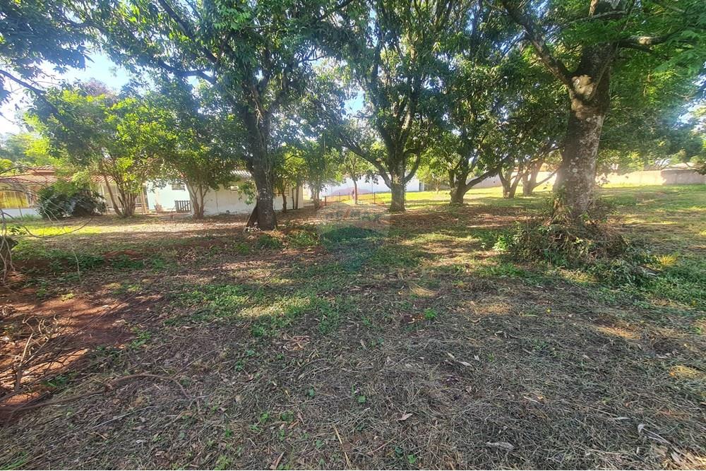 Agro - Alugar - Artur Nogueira , São Paulo - 20251120_155939.jpg - 690671009-93